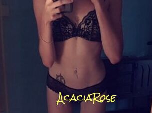 AcaciaRose