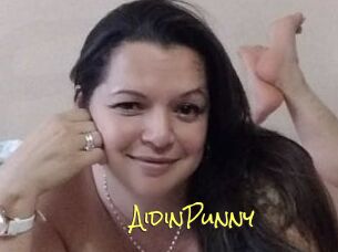 AidinPunny