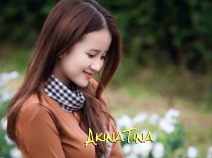AkinaTina