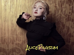 AlicePilgrim Elles Mouillent