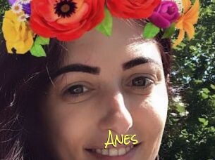 Anes