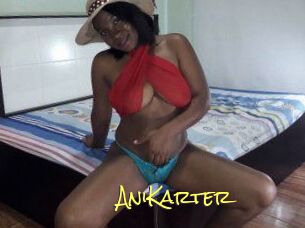AniKarter