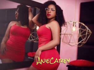 AnieCarey
