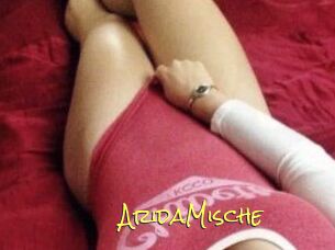 Arida_Mische