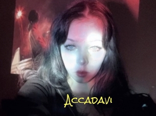 Accadavi