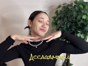 Accagammell