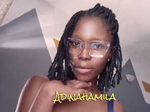 Adinahamila