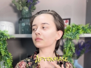 Aftonhase