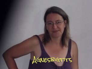 Agnesbigtits