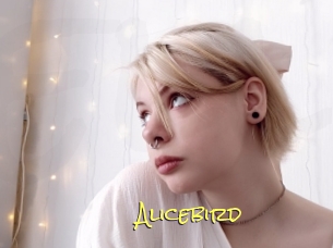 Alicebird