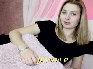 Alisatulip
