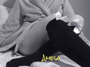Amesa