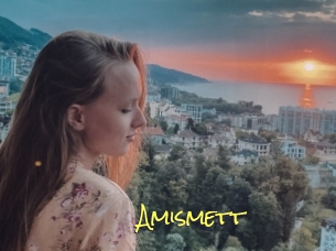 Amismett