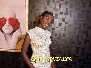 Andreajakes