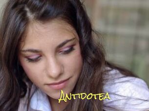 Antidotea