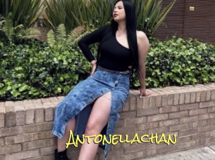 Antonellachan