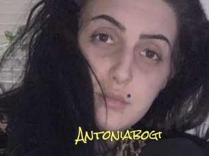 Antoniabogi