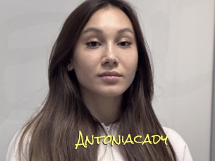 Antoniacady