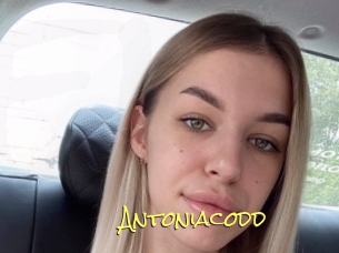 Antoniacodd