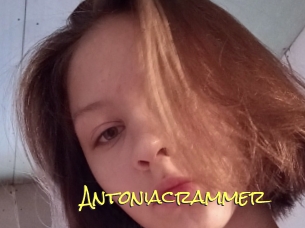 Antoniacrammer