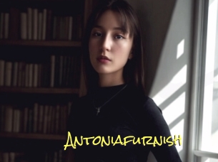 Antoniafurnish