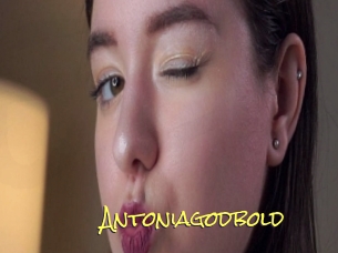 Antoniagodbold