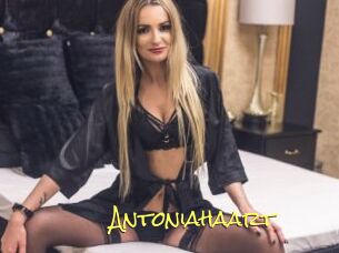 Antoniahaart
