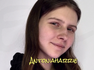 Antoniaharrie