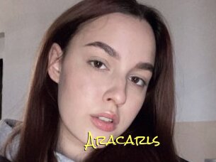 Aracarls