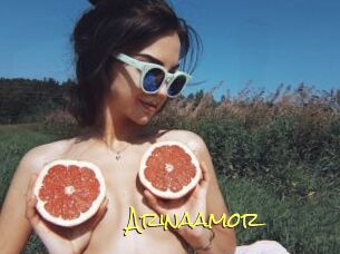 Arinaamor