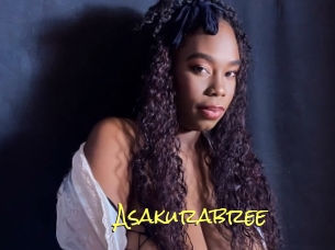 Asakurabree