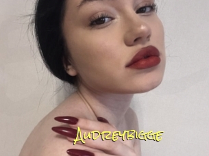 Audreybigge