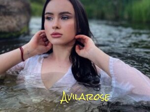 Avilarose