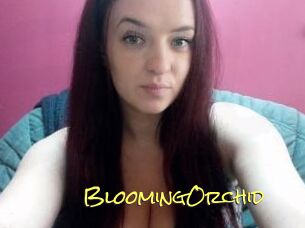 BloomingOrchid