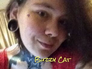 Buzzy_Cat
