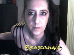 Belgecoquine