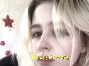 Breeboggus