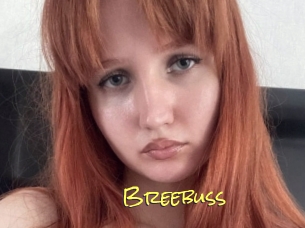 Breebuss