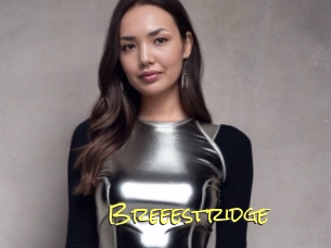 Breeestridge