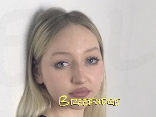 Breefudge