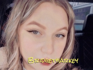 Bridgetharkey