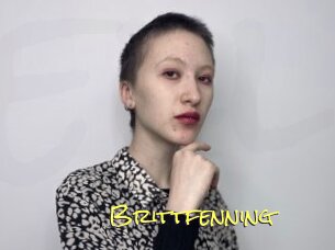 Brittfenning
