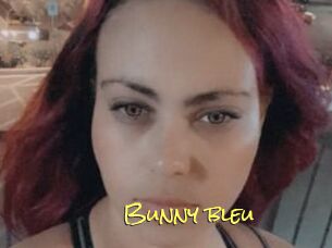 Bunny_bleu
