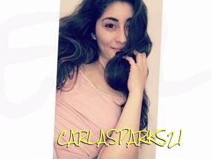 CARLA_SPARKS21