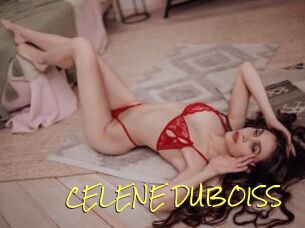CELENE_DUBOISS