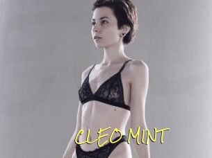 CLEO_MINT