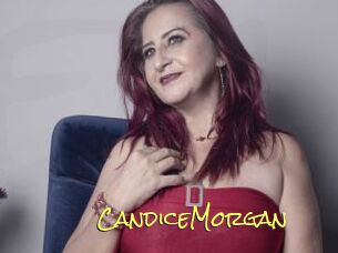 CandiceMorgan