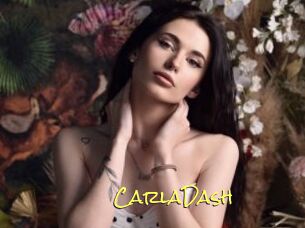 CarlaDash