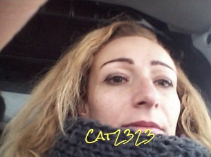 Cat2323