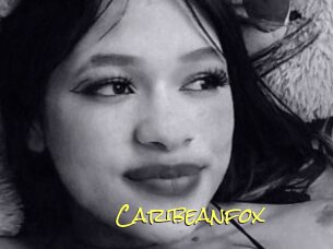 Caribeanfox